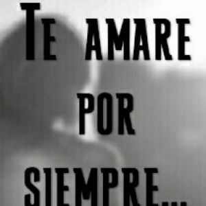 Meet your Posher, Jardon